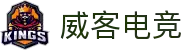 威客电竞网 - 电竞竞猜、赛事直播、新闻资讯与游戏攻略大全